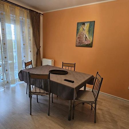 Elissa Apartment Braşov Dış mekan fotoğraf