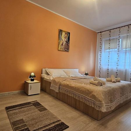 Elissa Apartment Braşov Dış mekan fotoğraf