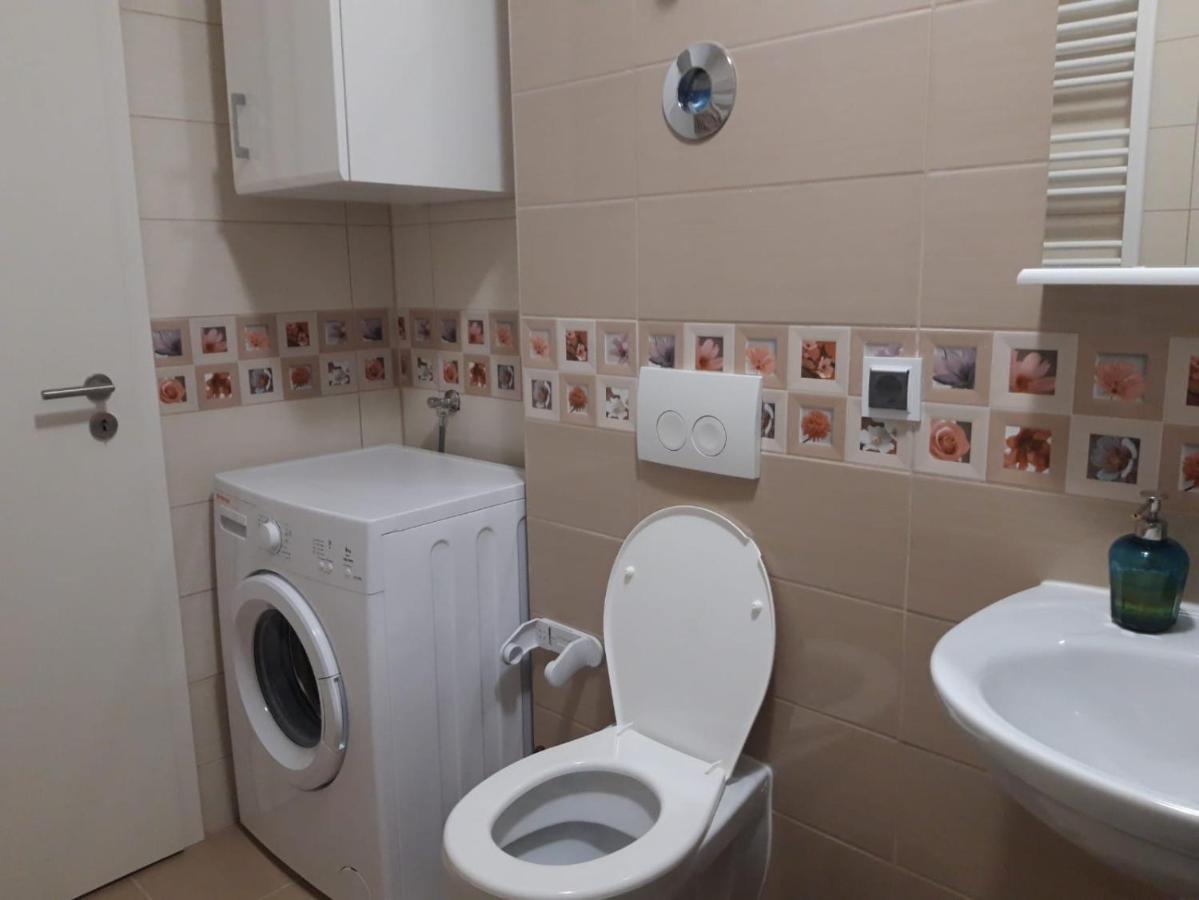 Elissa Apartment Braşov Dış mekan fotoğraf