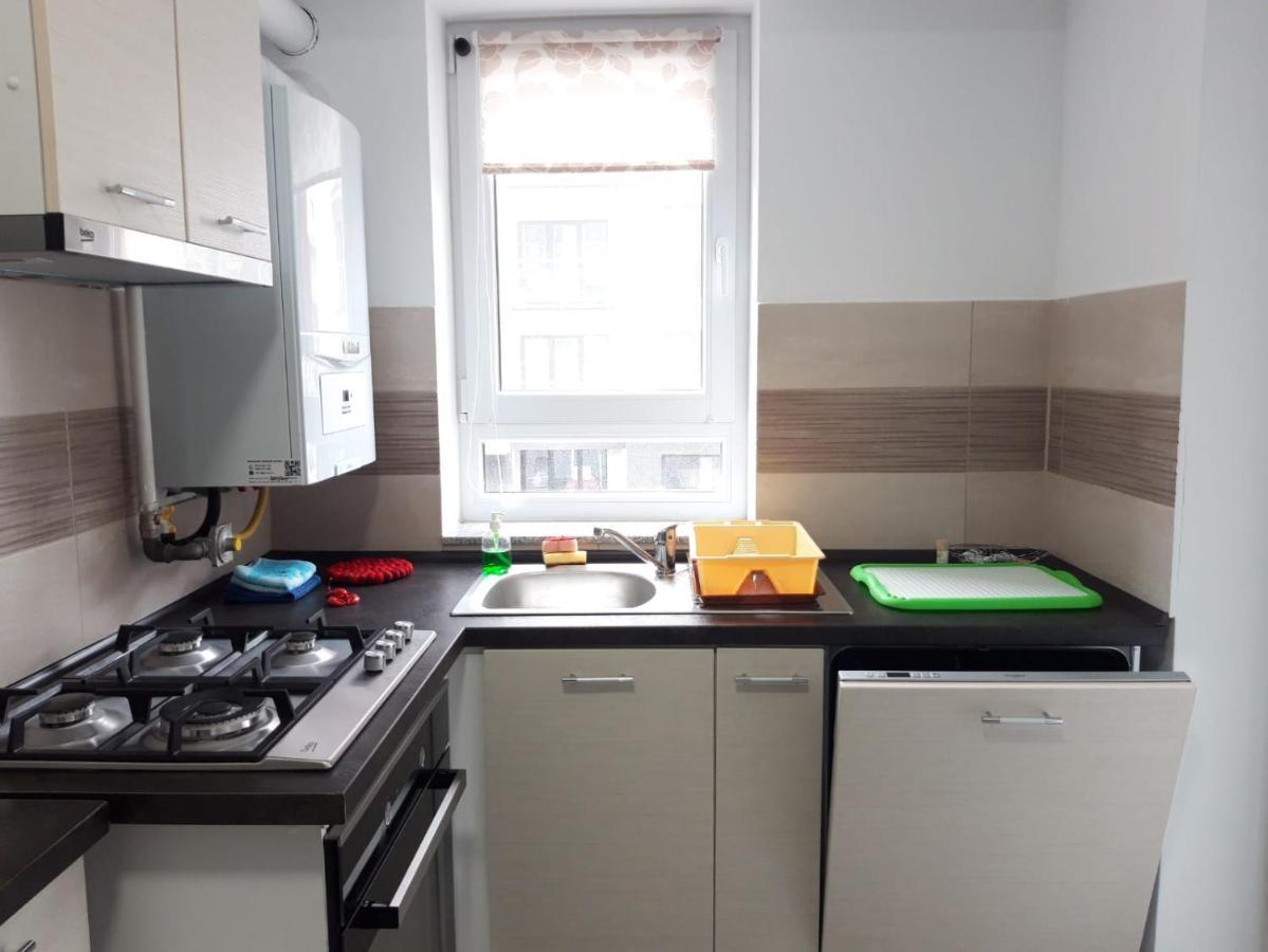 Elissa Apartment Braşov Dış mekan fotoğraf