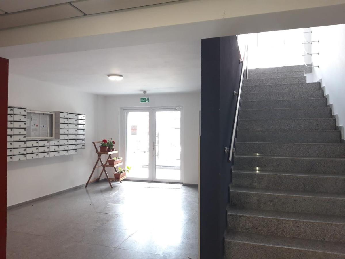 Elissa Apartment Braşov Dış mekan fotoğraf