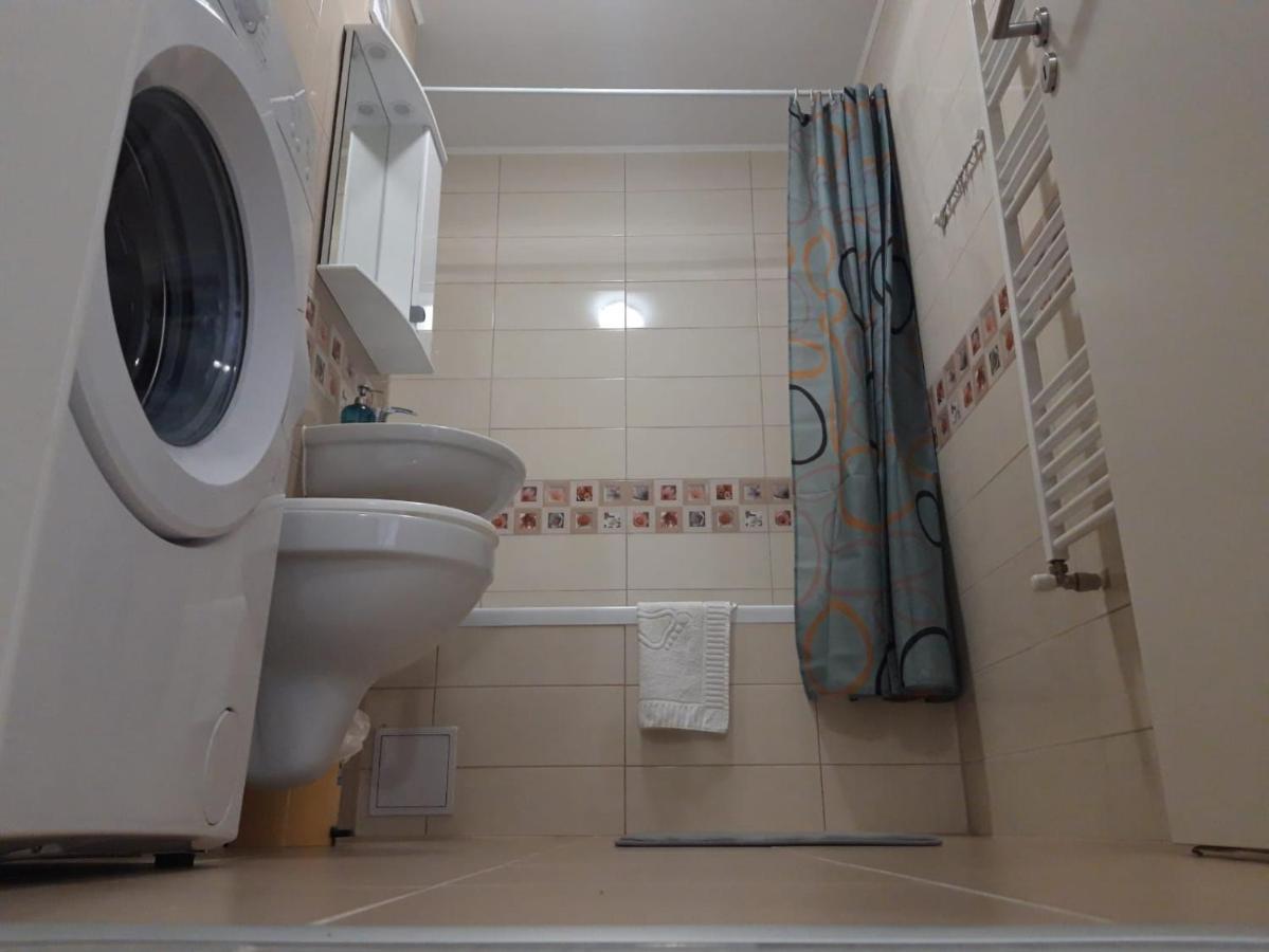 Elissa Apartment Braşov Dış mekan fotoğraf