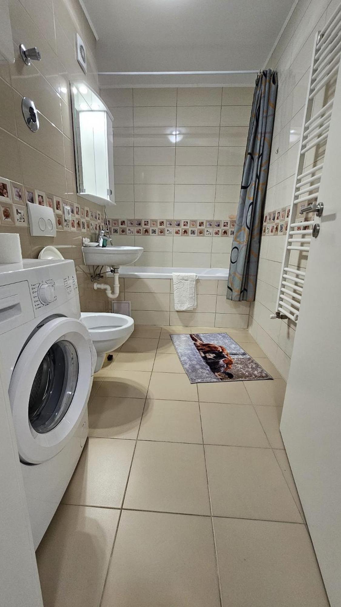 Elissa Apartment Braşov Dış mekan fotoğraf